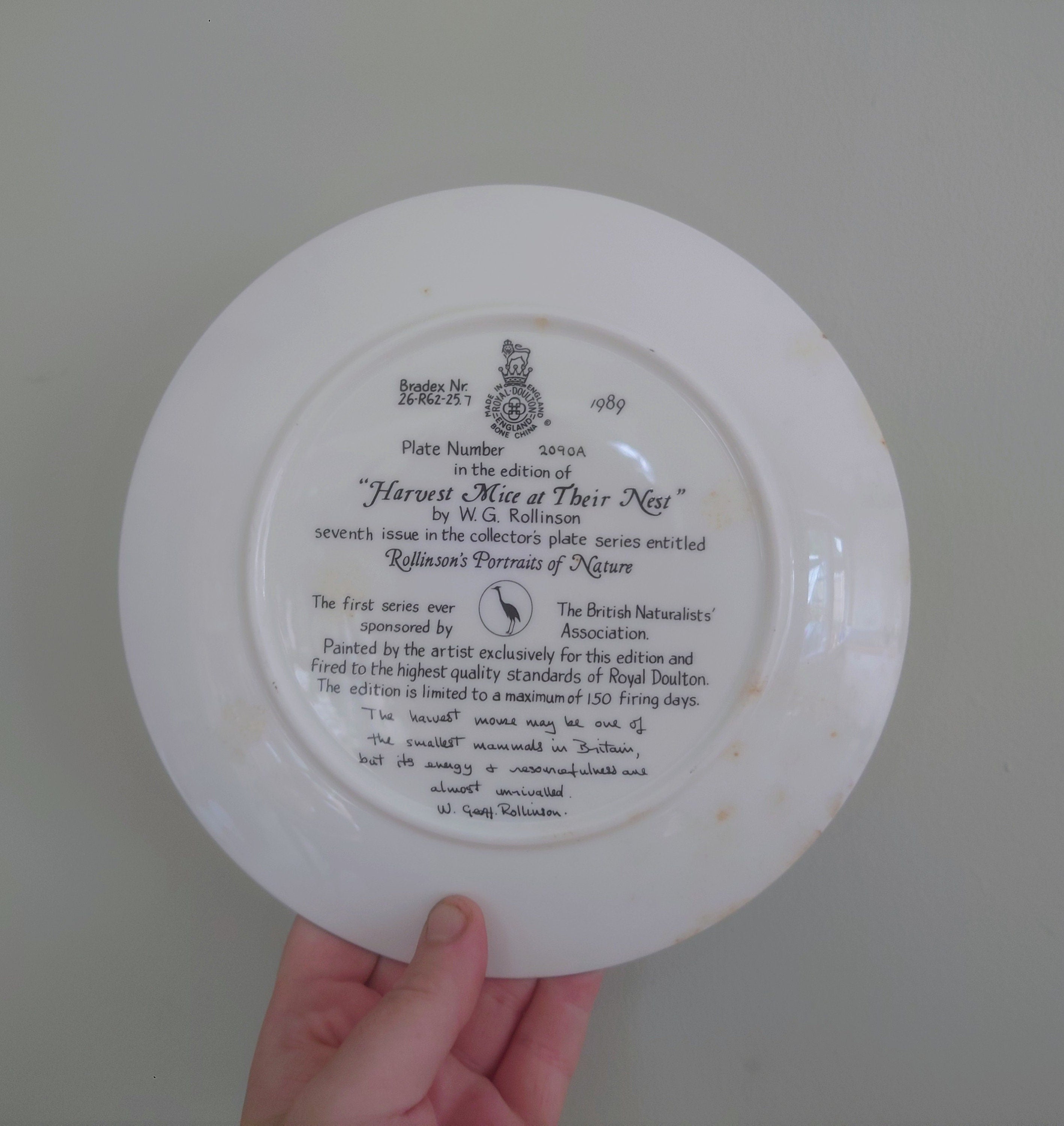 Vintage Mice Plate Decorative Plate Royal Doulton Collectable Wall Ceramic 'Squirrel branch' Plate Rollinson's portraits of nature Boxed