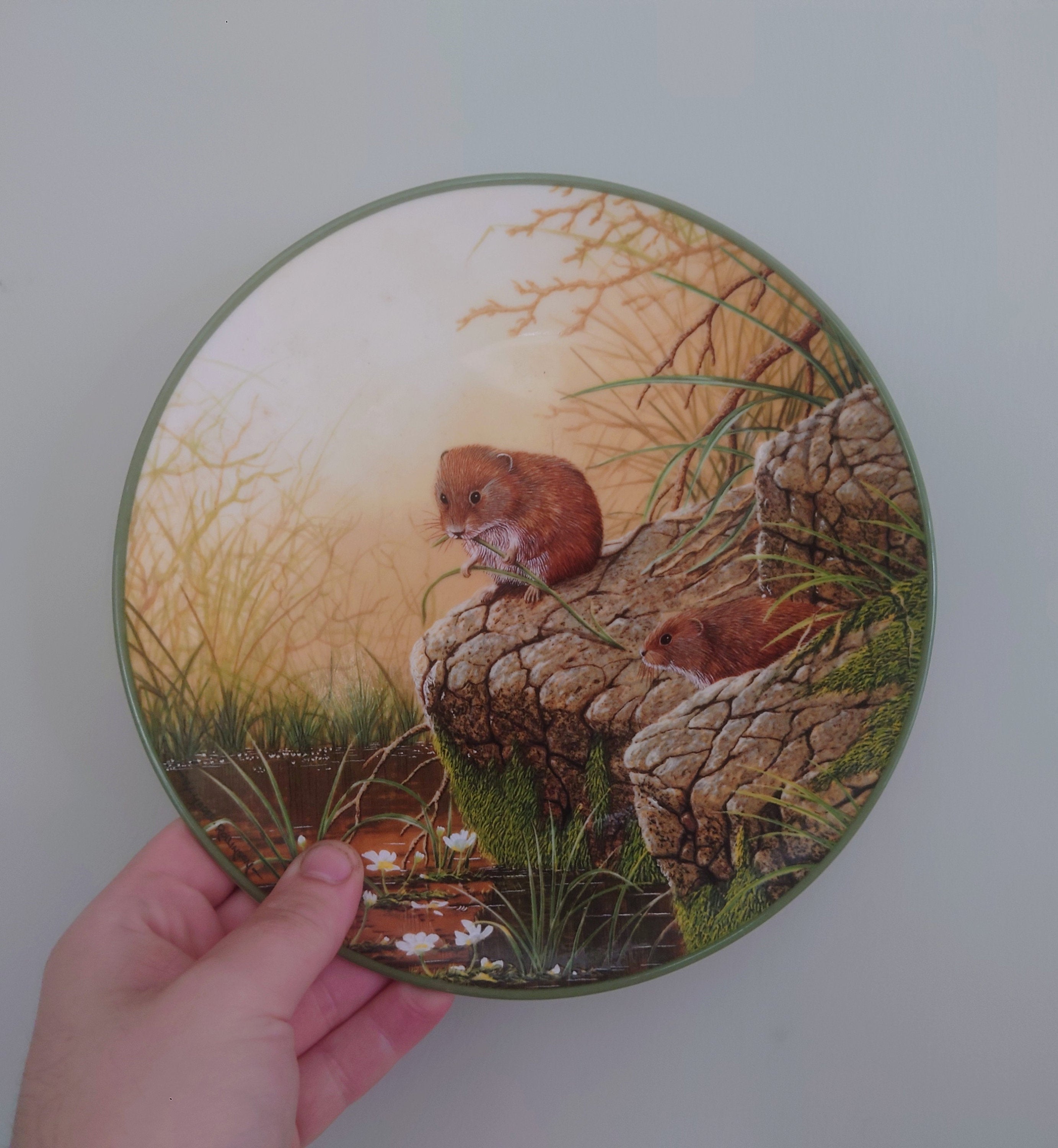 Vintage Voles Animal Plate Decorative Plate Royal Doulton Collectable Wall Ceramic 'Voles' Plate Rollinson's portraits of nature Boxed