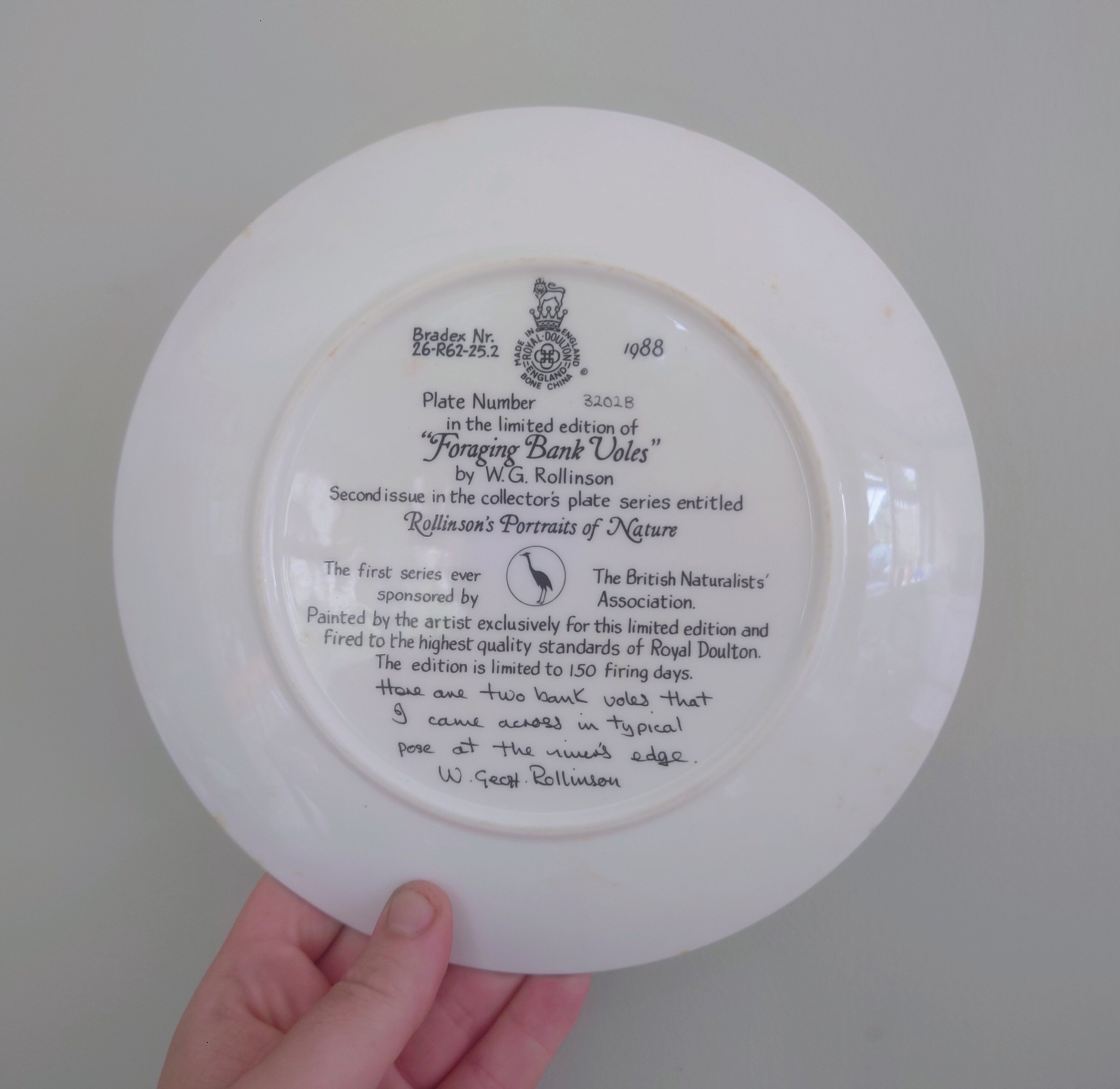 Vintage Voles Animal Plate Decorative Plate Royal Doulton Collectable Wall Ceramic 'Voles' Plate Rollinson's portraits of nature Boxed