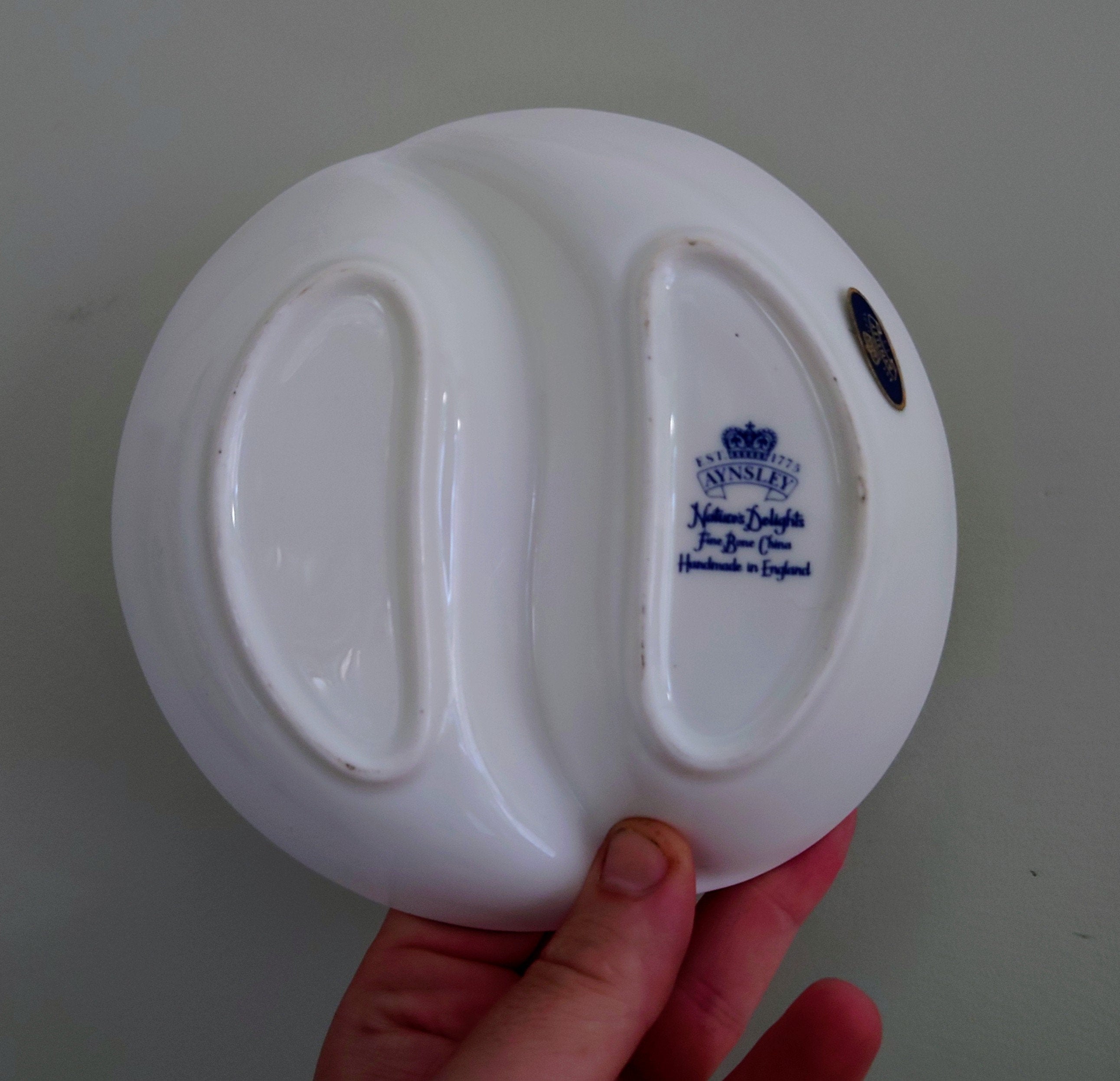 Aynsley  Snack Dish 2-Part Relish Pickle Dish Natures Delight's Fine Bone China Porcelain Made in England Pattern Collectable Gift Vintage