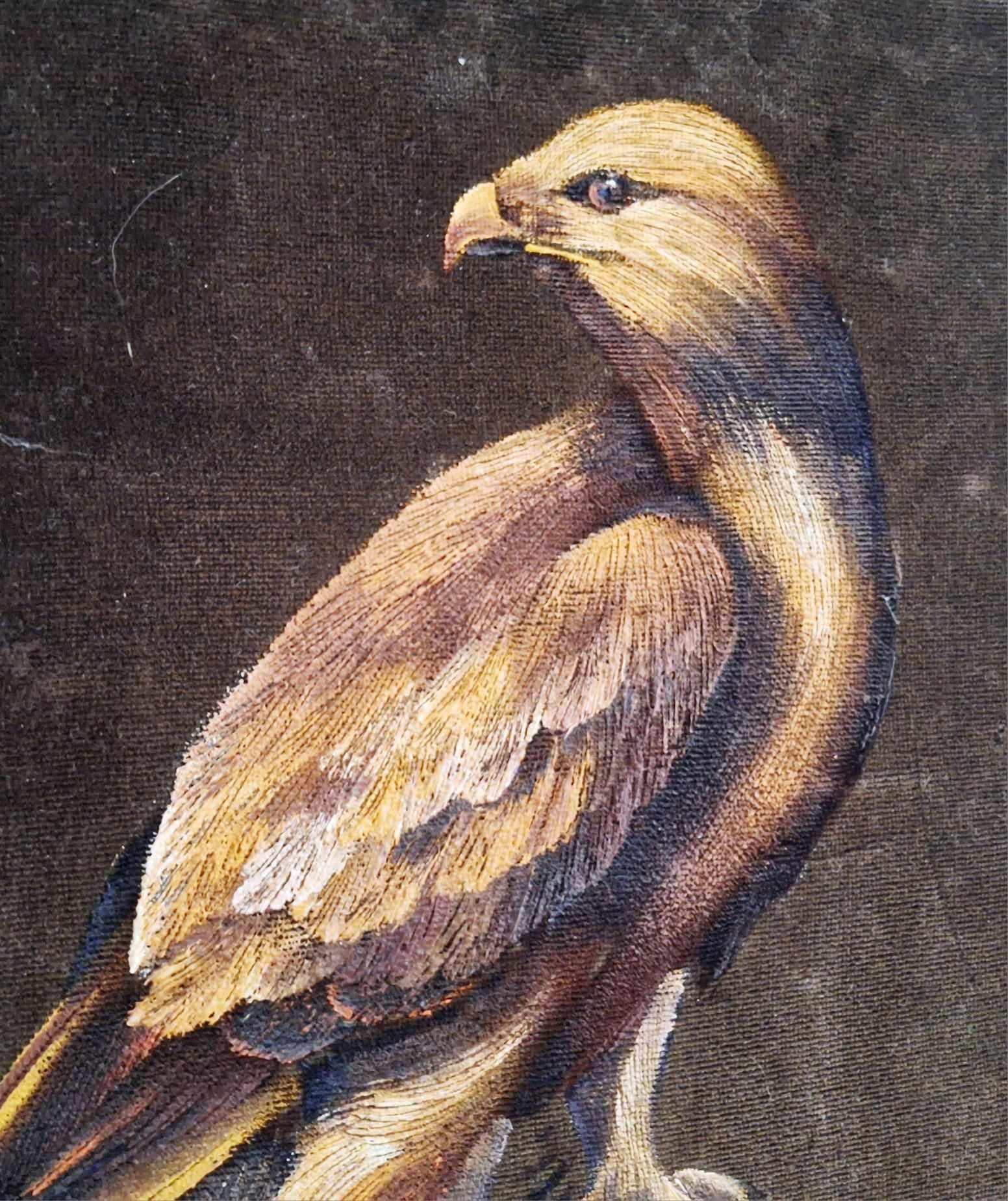 Vintage Oil Painting on Velvet - Majestic Golden Eagle Portrait in Ornate Frame - Wildlife Art for Rustic or Retro Home Decor