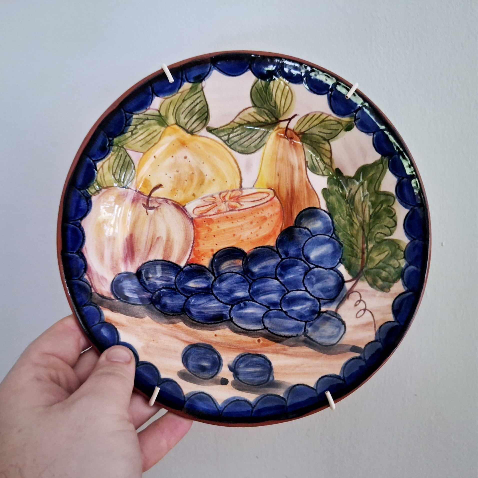 Vintage Italian Hand-Painted Fruit Plates | Wall Hanging Ceramic Plates | Blue Border Terracotta Rustic Mediterranean Kitchen Decor Set of 2