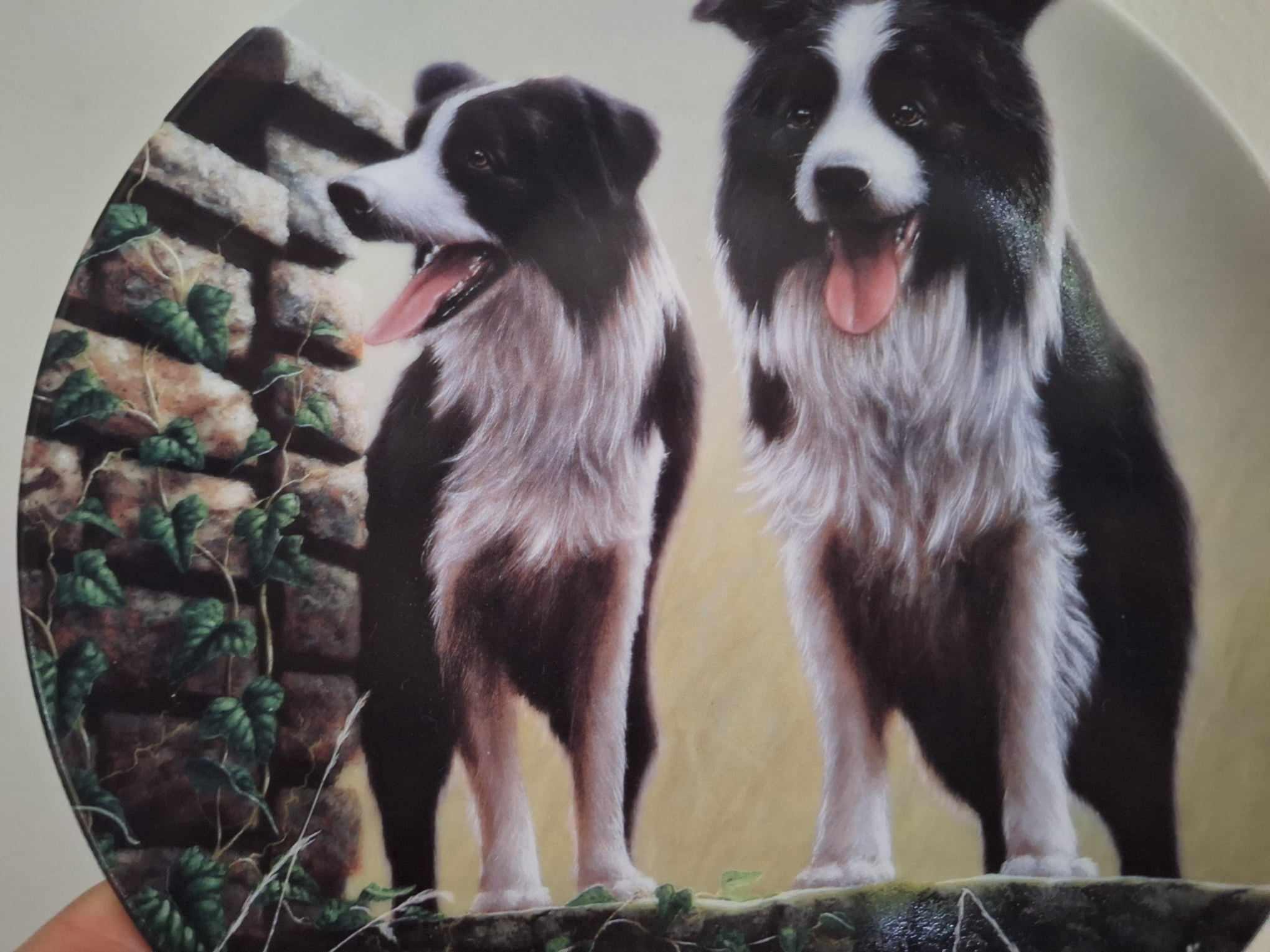 Top Dog Danbury Mint Border Collie Plate by John Silver | Royal Worcester Dog Collector Plate | Vintage Gift for Dog Lovers
