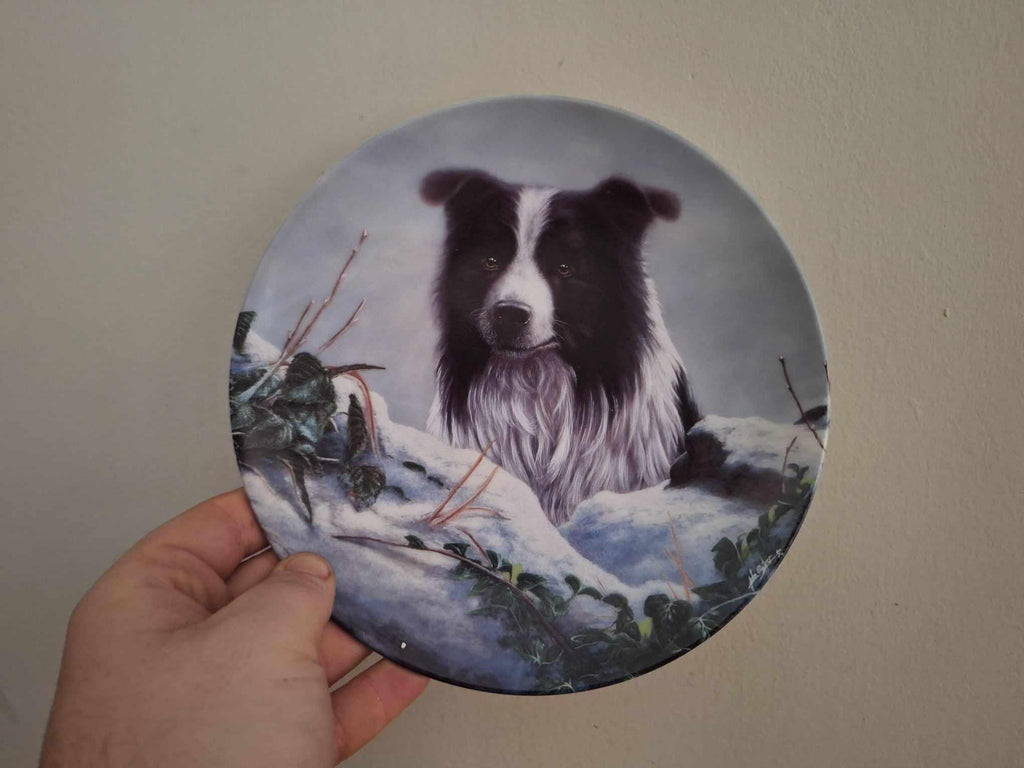 Winter Watch Danbury Mint Border Collie Plate by John Silver | Royal Worcester Collector Dog Plate with COA | Gift for Dog Lovers