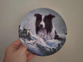 Winter Watch Danbury Mint Border Collie Plate by John Silver | Royal Worcester Collector Dog Plate with COA | Gift for Dog Lovers