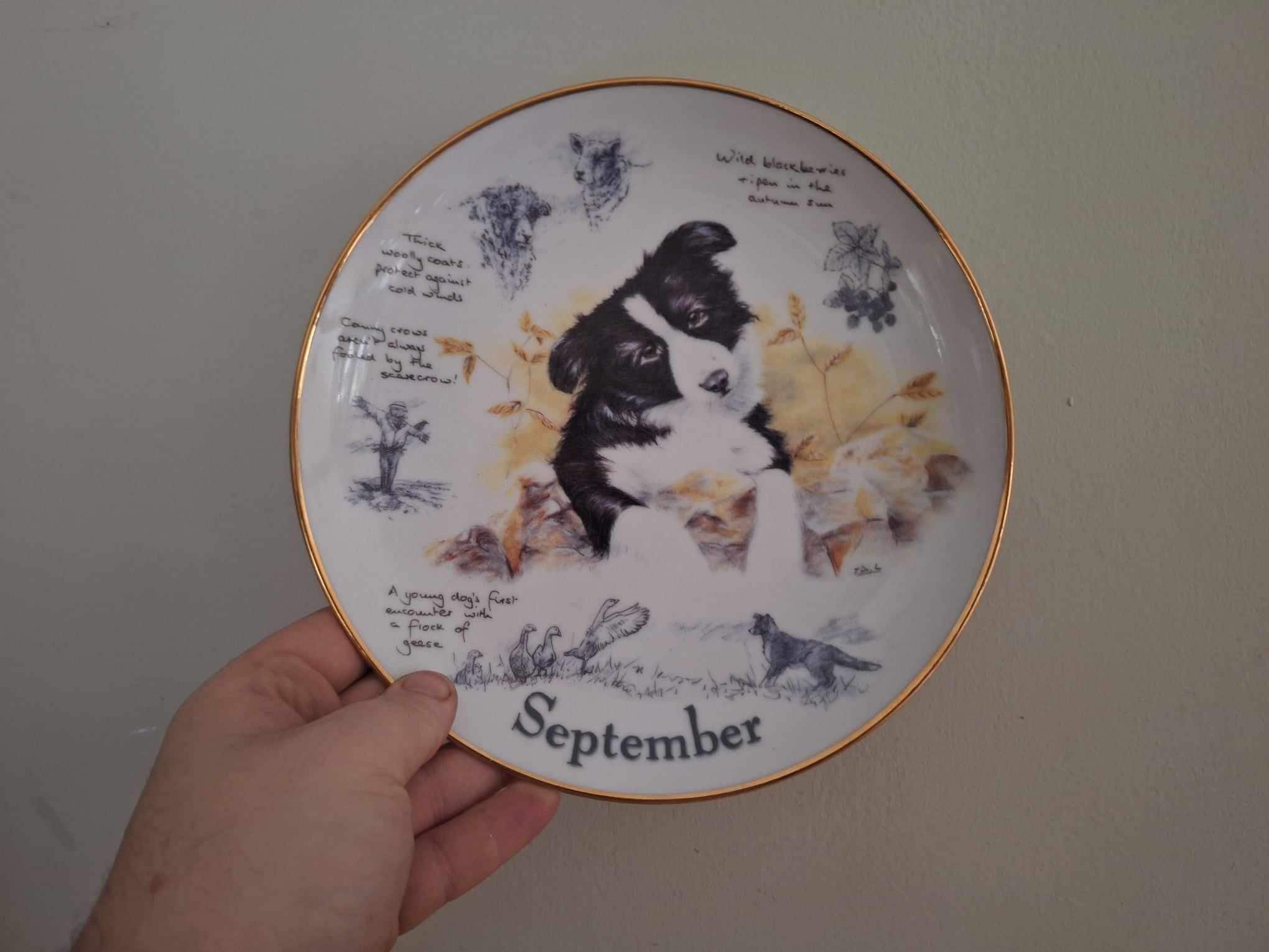 Border Collie Collector Plate 'November' by Paul Doyle | Danbury Mint | Limited Edition Dog Art Plate | COA Included | 2000s Vintage Gift