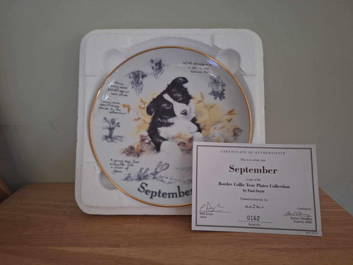 Border Collie Collector Plate 'September' by Paul Doyle | Danbury Mint | Limited Edition Dog Art Plate | COA Included | 2000s Vintage Gift