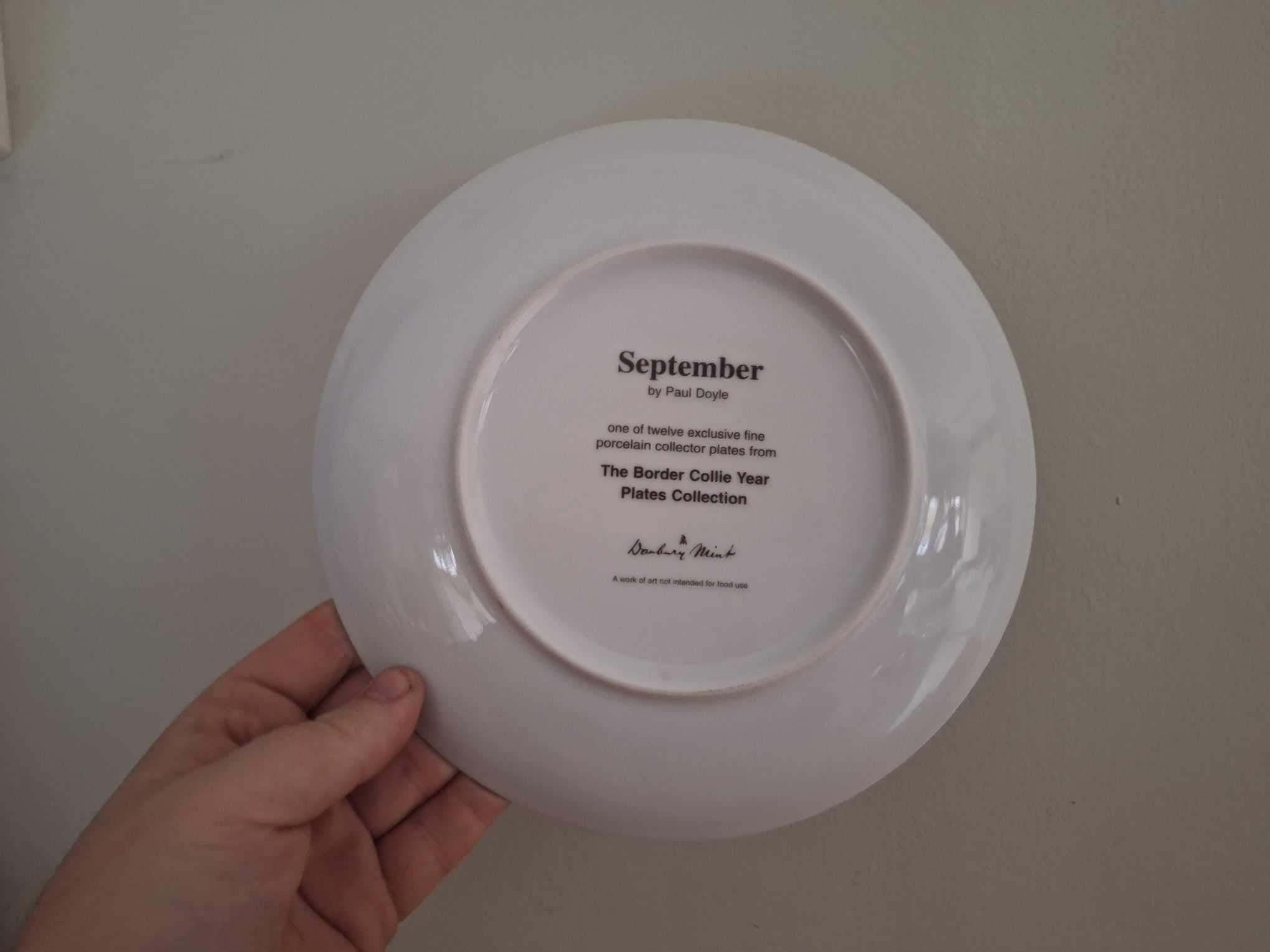 Border Collie Collector Plate 'September' by Paul Doyle | Danbury Mint | Limited Edition Dog Art Plate | COA Included | 2000s Vintage Gift