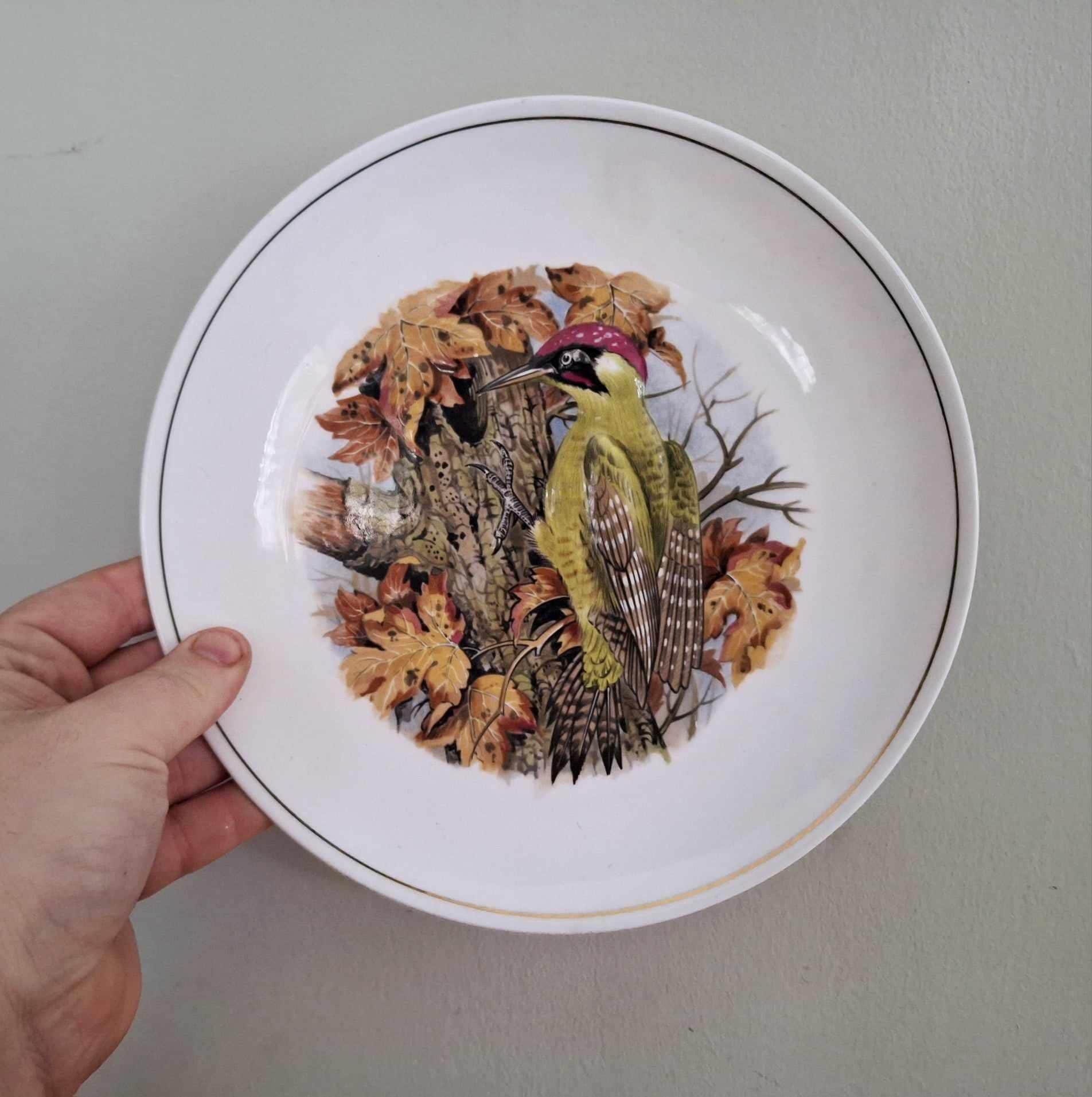 Thornbury Green Woodpecker Plate | Royal Worcester Spode | Bone China | Autumn Bird Scene | Vintage Wall Display Plate | Made in England