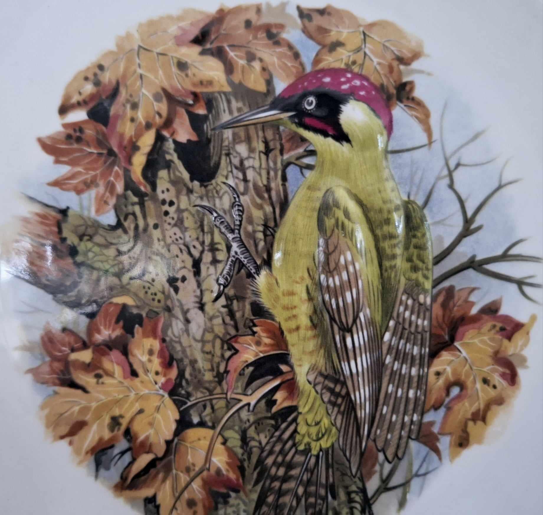Thornbury Green Woodpecker Plate | Royal Worcester Spode | Bone China | Autumn Bird Scene | Vintage Wall Display Plate | Made in England
