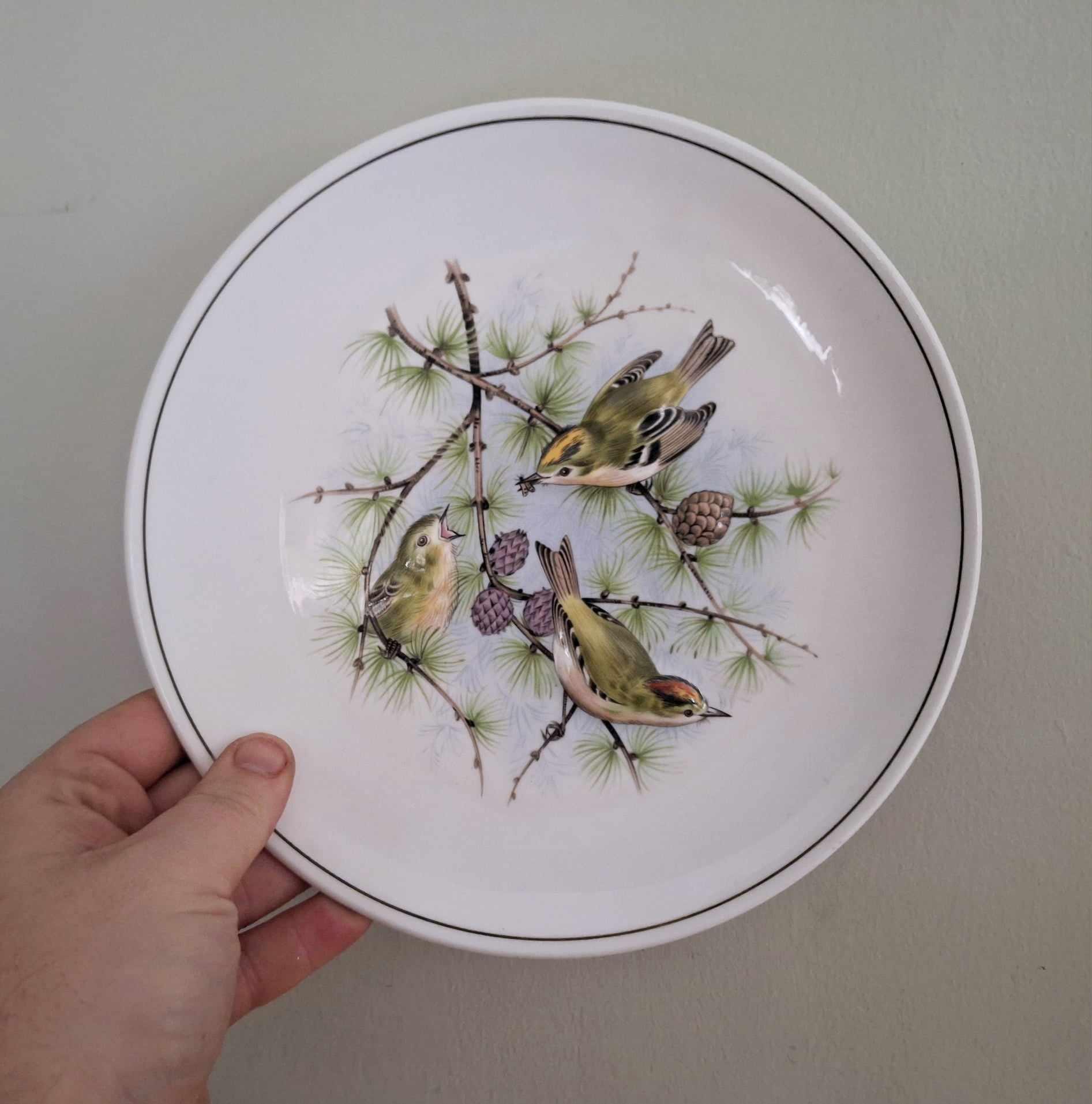 Vintage Bird Plate by Marcel Boulanger  Goldcrests on Pine  Made in England  Wall Hanging  Wildlife Art Collector Plate