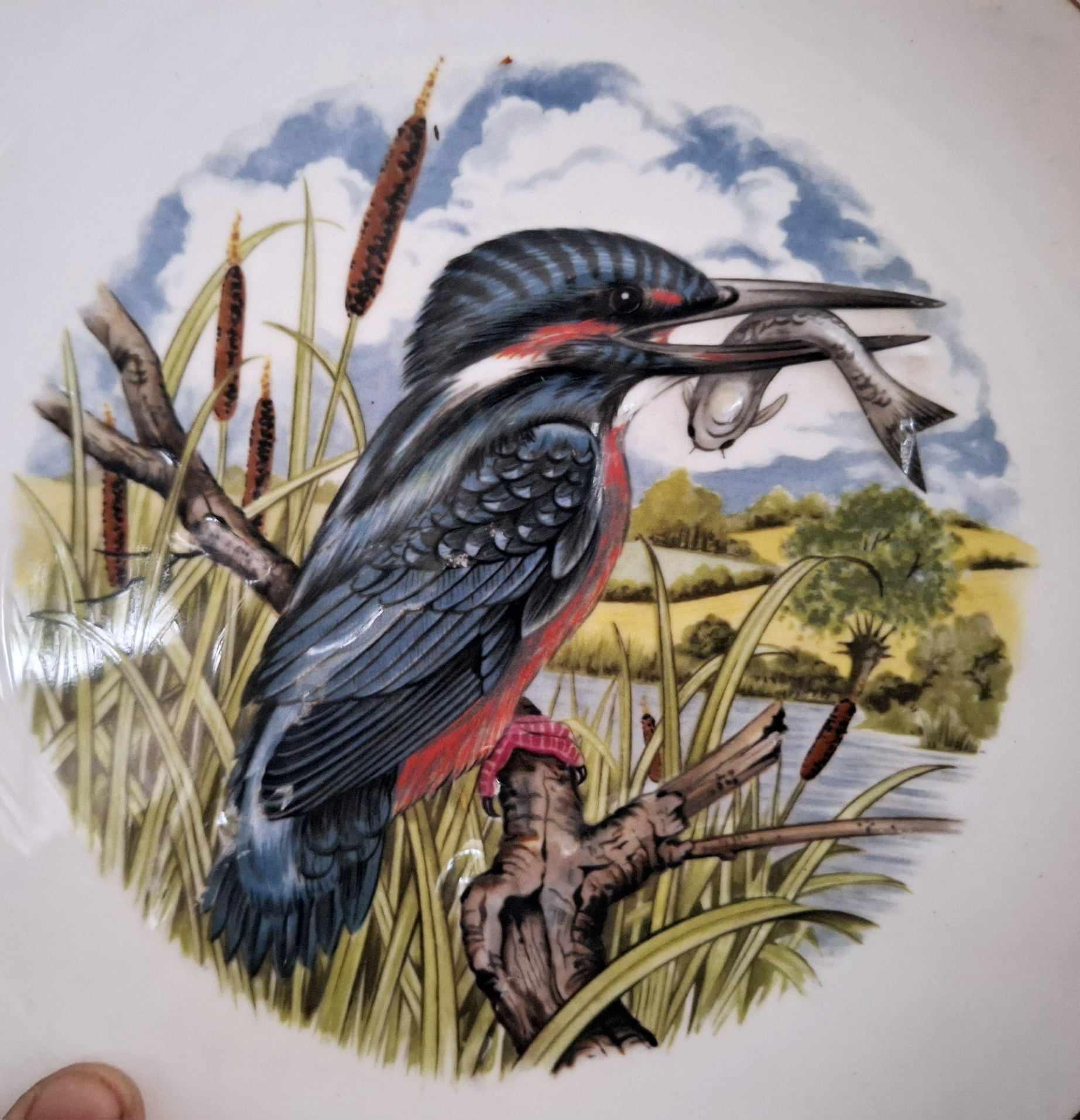 Vintage Kingfisher Plate by Marcel Boulanger  Made in England  Bird with Fish  Countryside Scene  Wildlife Wall Art 4-15