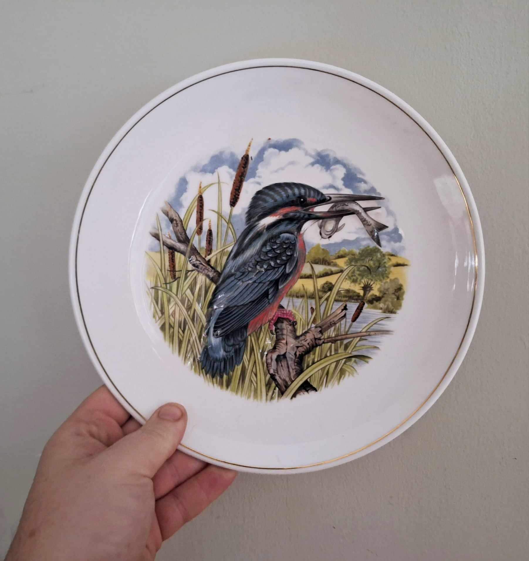 Vintage Kingfisher Plate by Marcel Boulanger  Made in England  Bird with Fish  Countryside Scene  Wildlife Wall Art 4-15