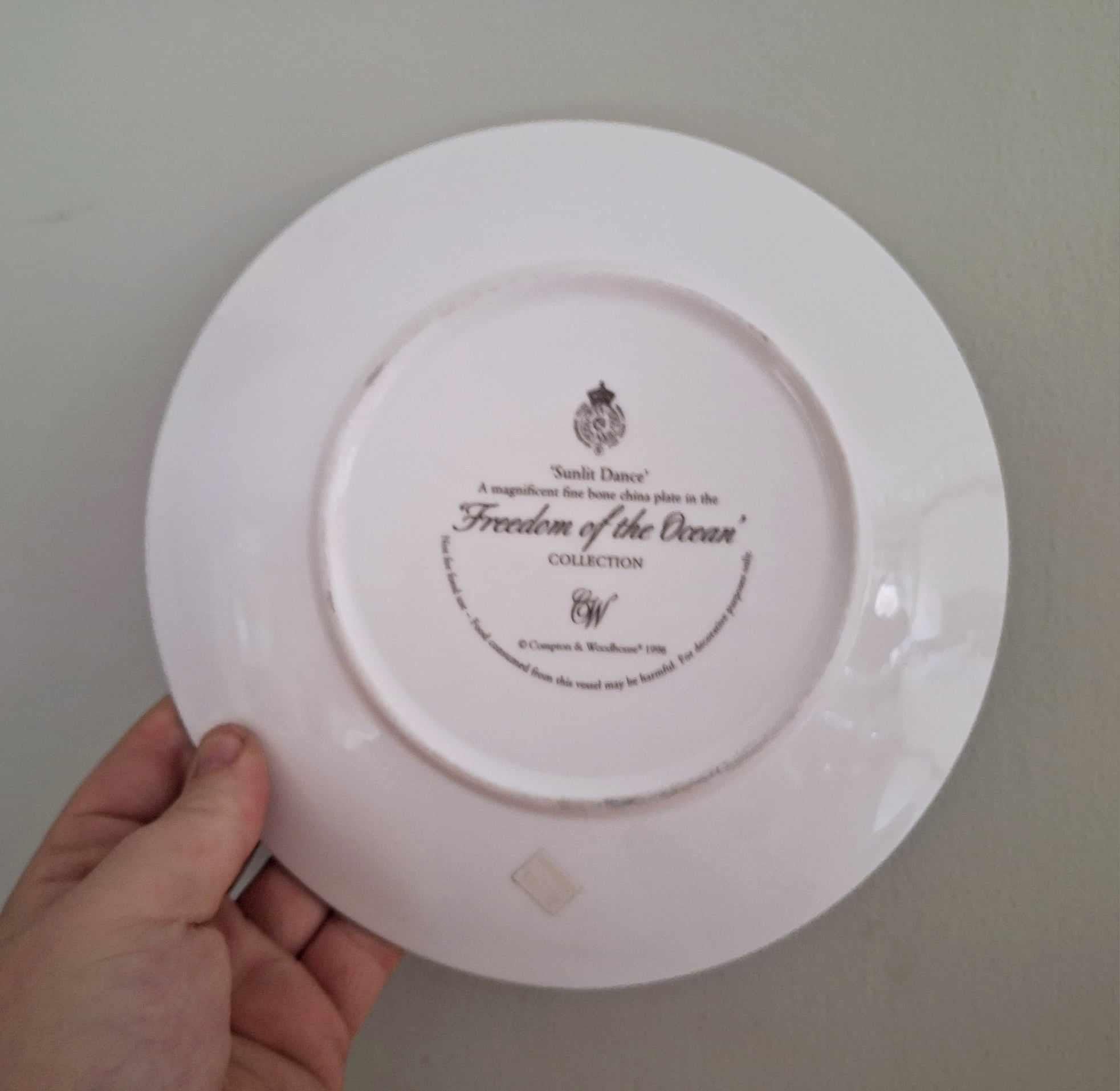 Sunlit Dance Collector Plate Freedom of the Ocean Compton Woodhouse Fine Bone China Dolphins Tropical Ocean Sunset Coral Reef Wall Art Gift