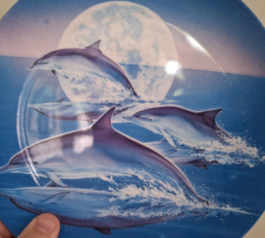 Reflections Coalport Danbury Mint Magical Dolphin Plate by Robin Koni  Collectors Wall Art Ocean Scene