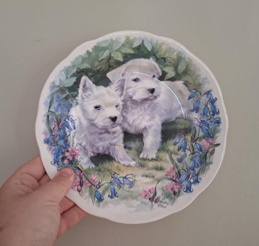 Decorative Plate with White Terrier Puppies  Bluebells & Pink Flowers Border