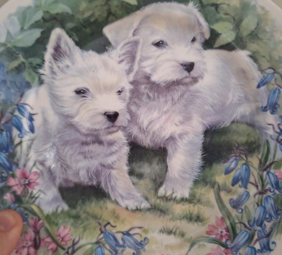 Decorative Plate with White Terrier Puppies  Bluebells & Pink Flowers Border