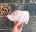 Large White Ceramic Pig Planter  Cute Animal Shaped Indoor Plant Pot  Glossy Farmhouse Decor
