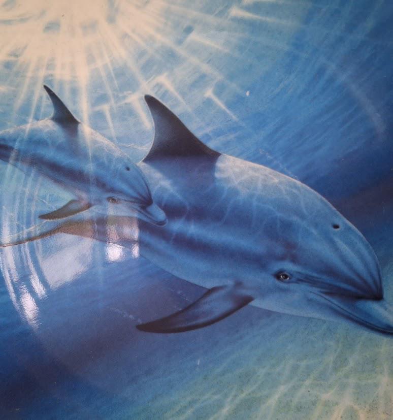 By Her Side Dolphin Plate by Robin Koni  Danbury Mint Coalport  Magical Dolphin Plate Collection  Wall Art Decor  Collector Plate