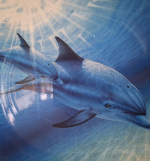 By Her Side Dolphin Plate by Robin Koni  Danbury Mint Coalport  Magical Dolphin Plate Collection  Wall Art Decor  Collector Plate
