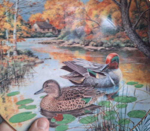 Knowles The Green Winged Teal 1987 Plate Bart Jerner Wildlife Society Duck Collector Plate Vintage