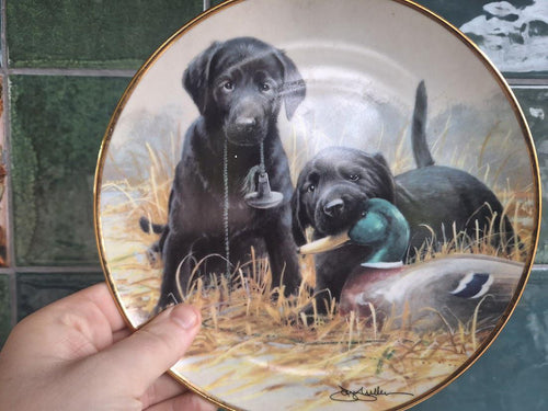 Franklin Mint Black Labrador Puppies Collector Plate: Beginners Luck Hunting Dog (1991)