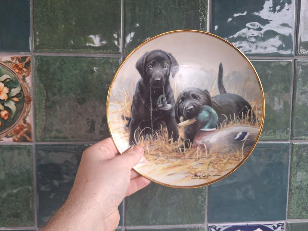 Franklin Mint Black Labrador Puppies Collector Plate: Beginners Luck Hunting Dog (1991)