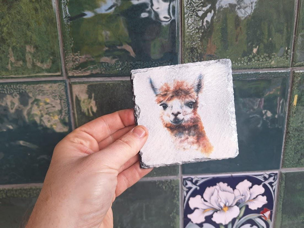 Set of 4 Slate Coasters: Hedgehog, Alpaca, Bumblebee, Robin Wildlife Illustrations