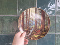 Rudi Reichardt Sunlit Retreat Collector Plate: Sequoia National Park Deer Scene (1993)