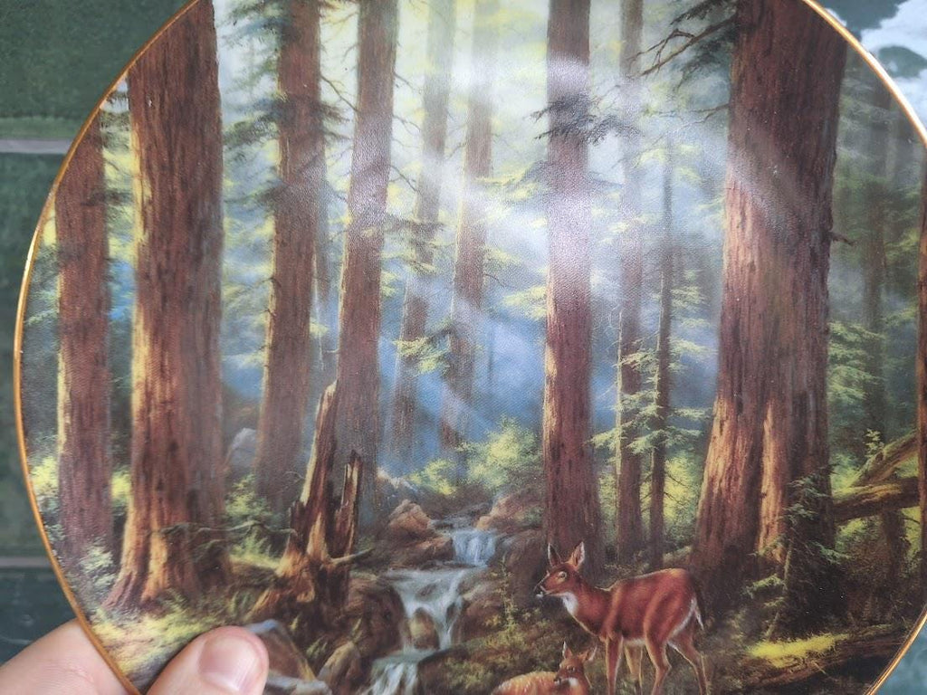 Rudi Reichardt Sunlit Retreat Collector Plate: Sequoia National Park Deer Scene (1993)