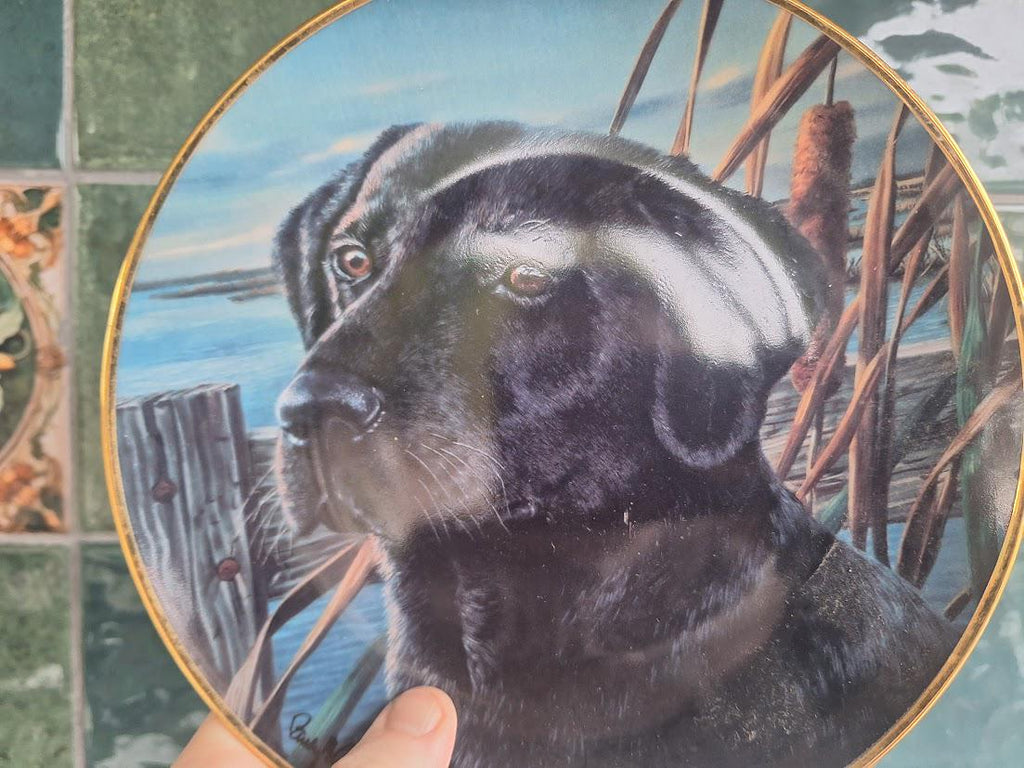 Franklin Mint Black Labrador Retriever Collector Plate: Man's Friend Series