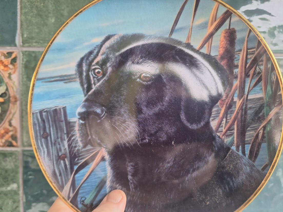 Franklin Mint Black Labrador Retriever Collector Plate: Man's Friend Series