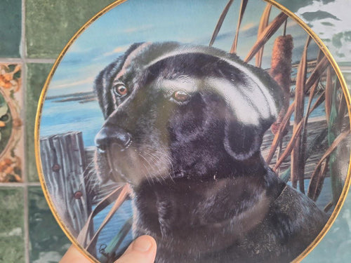 Franklin Mint Black Labrador Retriever Collector Plate: Man's Friend Series