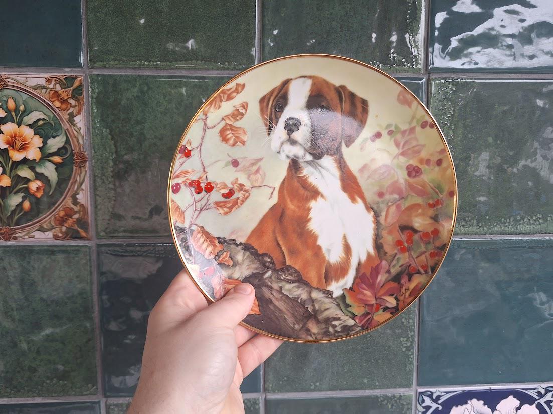 Vintage Boxer Puppy Collector Plate: Ruth Parry "Inquisitive" Wall Decor