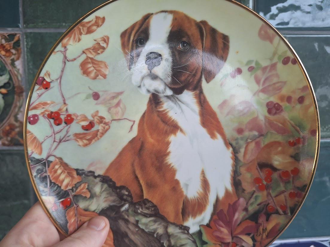 Vintage Boxer Puppy Collector Plate: Ruth Parry "Inquisitive" Wall Decor