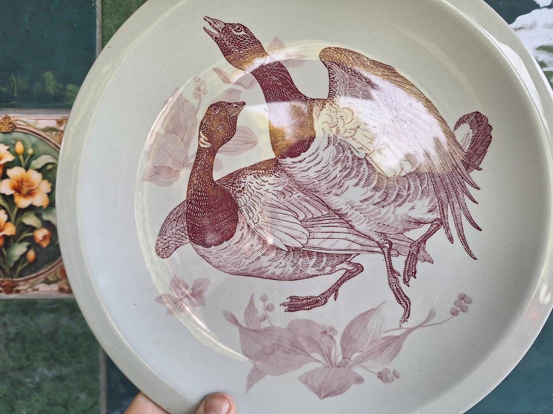 Vintage Wedgwood American Brant Goose Plate  Game Birds Series Wildlife Decor