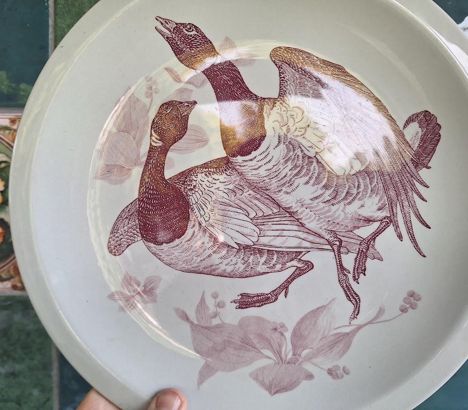 Vintage Wedgwood American Brant Goose Plate  Game Birds Series Wildlife Decor