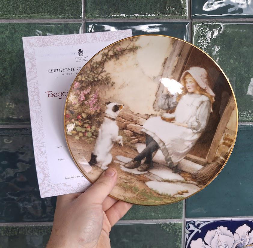 Wedgwood Yesterday's Child Begging for a Favour Collector Plate Charles Edward Wilson Bone China Boxed With Certificate