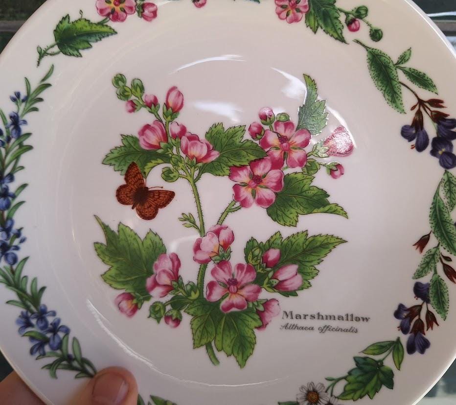 Royal Worcester Marshmallow Plate, Botanical Butterfly Fine Bone China (Boxed With Certificate)