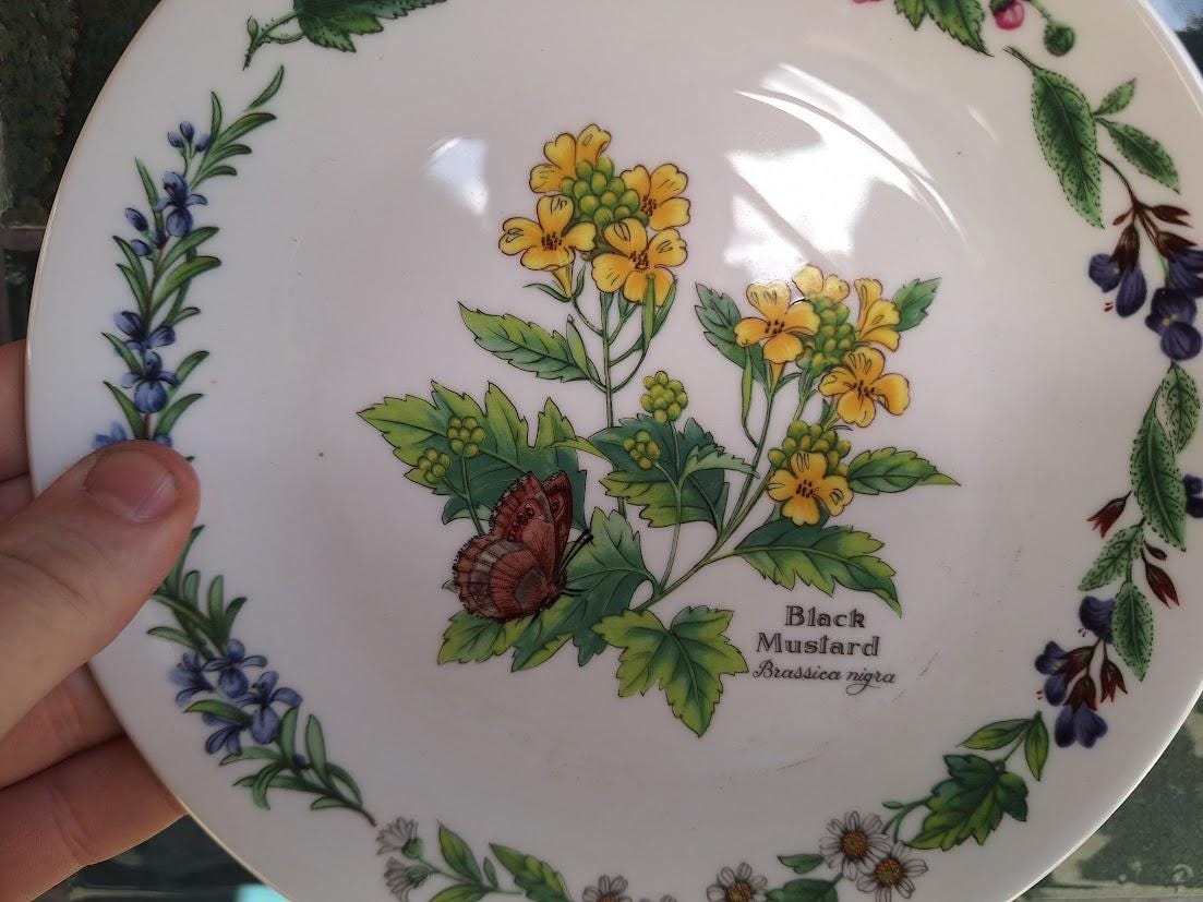 Royal Worcester Black Mustard Collector Plate, Fine Bone China Botanical Butterfly Dish (Boxed)