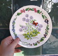 Royal Worcester Coriander Collector Plate, Fine Bone China Botanical Butterfly (Limited Edition)