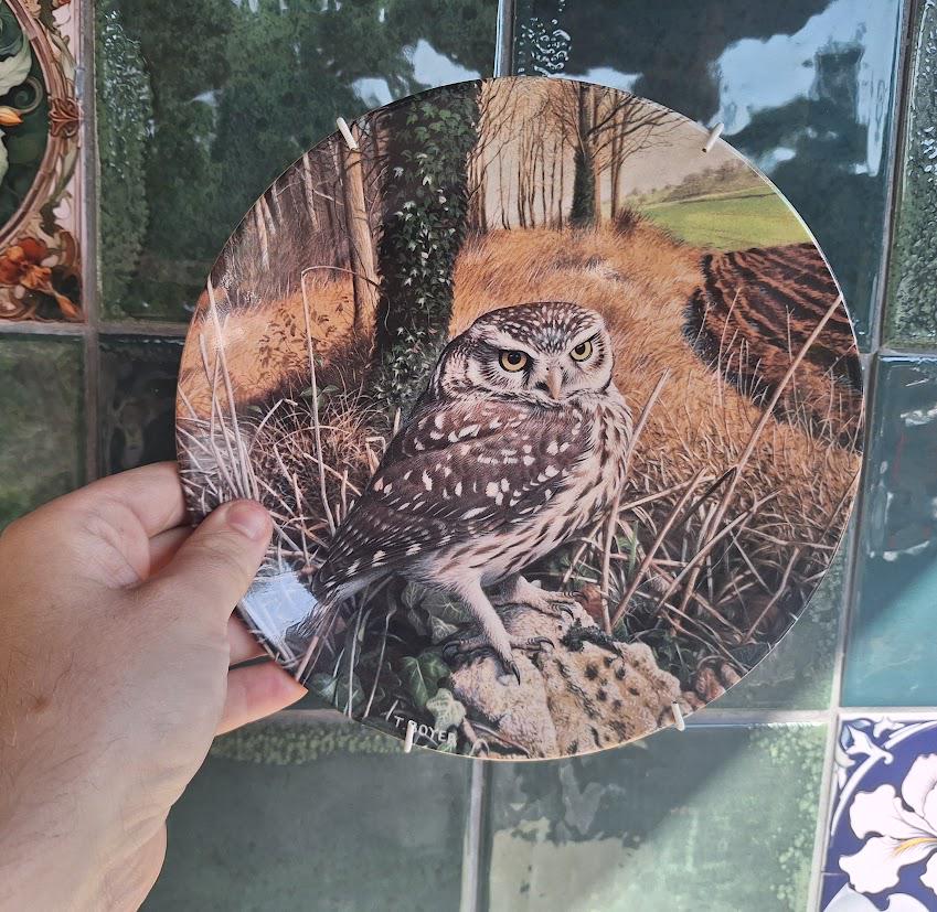 Vintage Wedgwood Little Owl Collector Plate, The Majesty of Owls, Trevor Boyer Danbury Mint Wildlife Wall Decor, 1992 English China