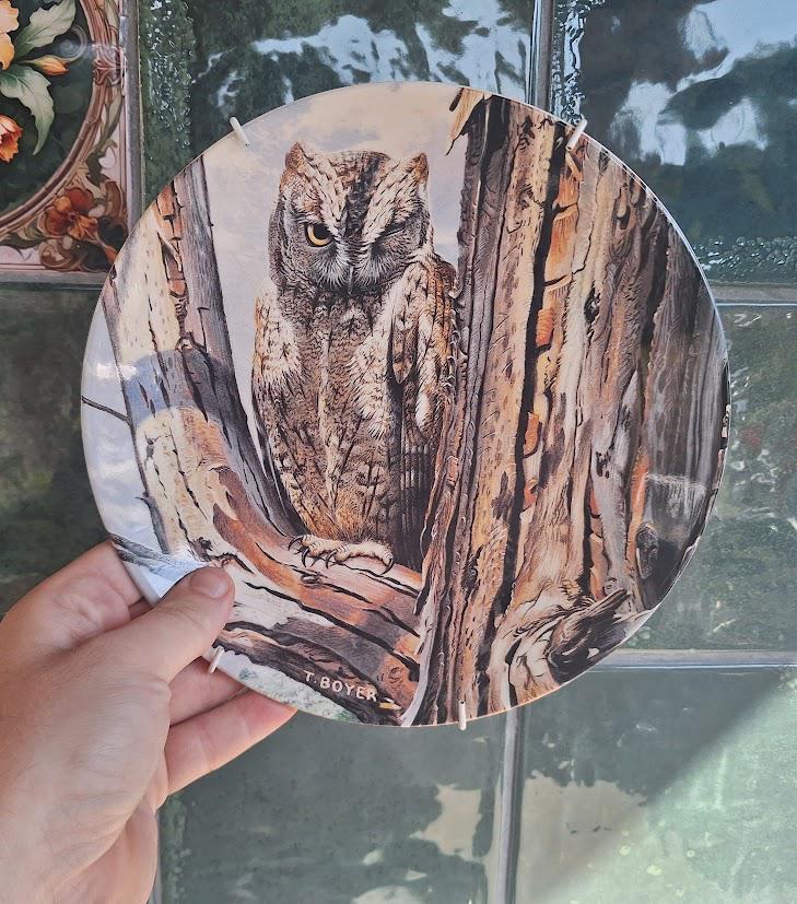 Vintage Wedgwood Scops Owl Collector Plate 1992, Majesty of Owls Trevor Boyer, Danbury Mint Bird Wall Décor Made in England