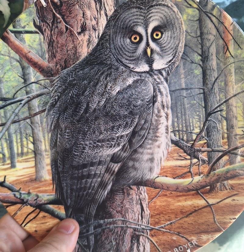 Vintage Wedgwood Great Grey Owl Collector Plate 1992, Trevor Boyer Majesty of Owls Danbury Mint Wildlife Wall Decor England