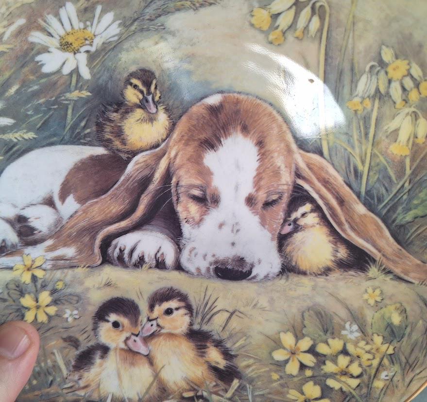 Royal Worcester Forty Winks RSPCA Collector Plate 1990, Pam Cooper Basset Hound Puppy and Ducklings Fine Bone China