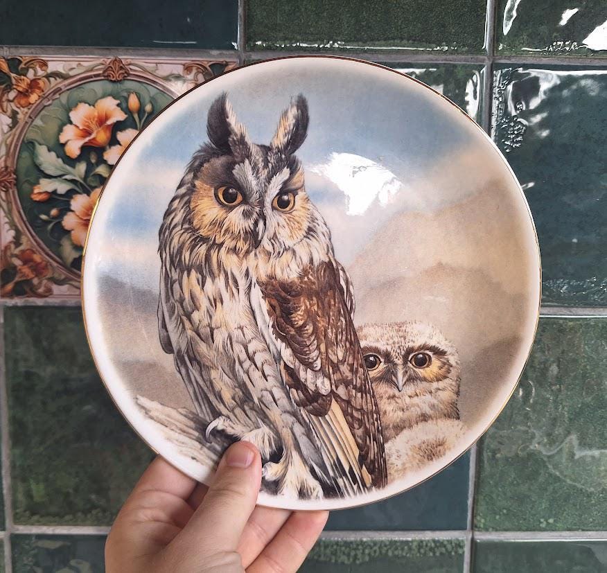 Vintage Heritage Regency Long-Eared Owl Collector Plate, English Bone China Owl and Owlet Wildlife Wall Plate, Gold Rim Bird Decor