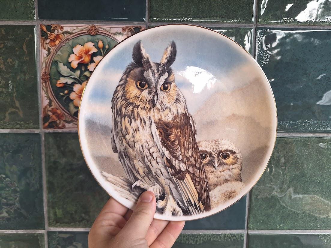 Vintage Heritage Regency Long-Eared Owl Collector Plate, English Bone China Owl and Owlet Wildlife Wall Plate, Gold Rim Bird Decor