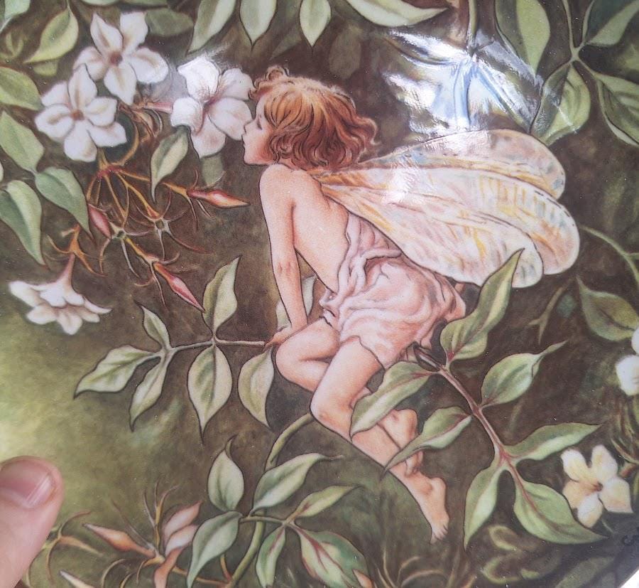 Vintage Jasmine Fairy Plate: Cicely Mary Barker Flower Fairies Collector Plate (1987)