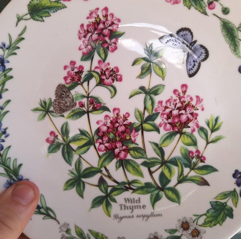 Royal Worcester Wild Thyme Collector Plate: Botanical Butterfly Fine Bone China (Boxed)