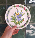 Royal Worcester Chicory Collector Plate: Botanical Butterfly Fine Bone China (Boxed w/ Certificate)